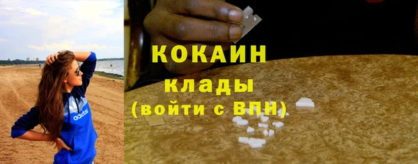 сатива Бугульма