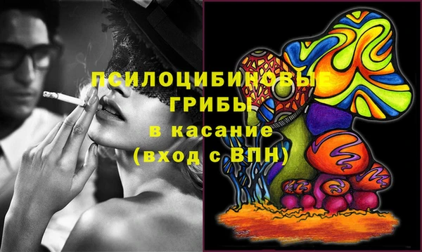 сатива Бугульма