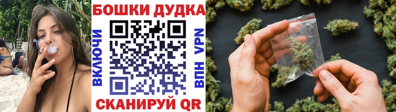 Бошки Шишки семена  купить   Морозовск 
